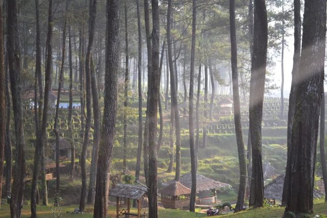 tempat-outbound-bandung-di-lembang